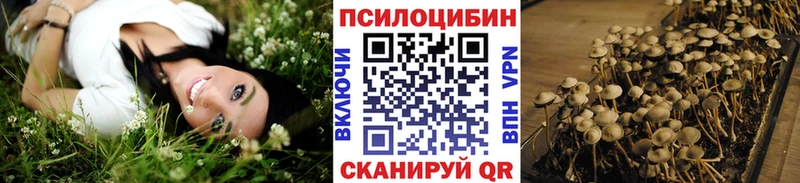 купить наркоту  Бор  Псилоцибиновые грибы ЛСД 