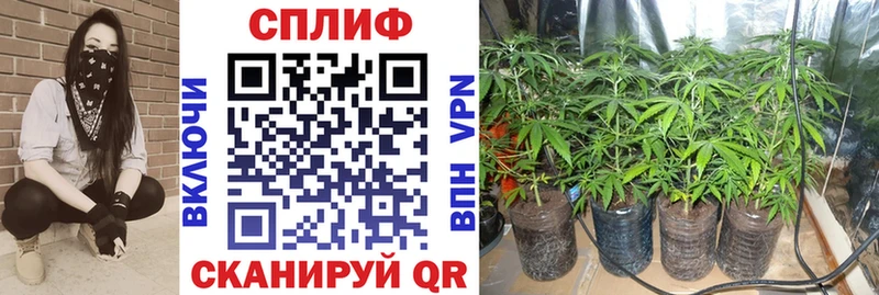 Марихуана SATIVA & INDICA  Бор 